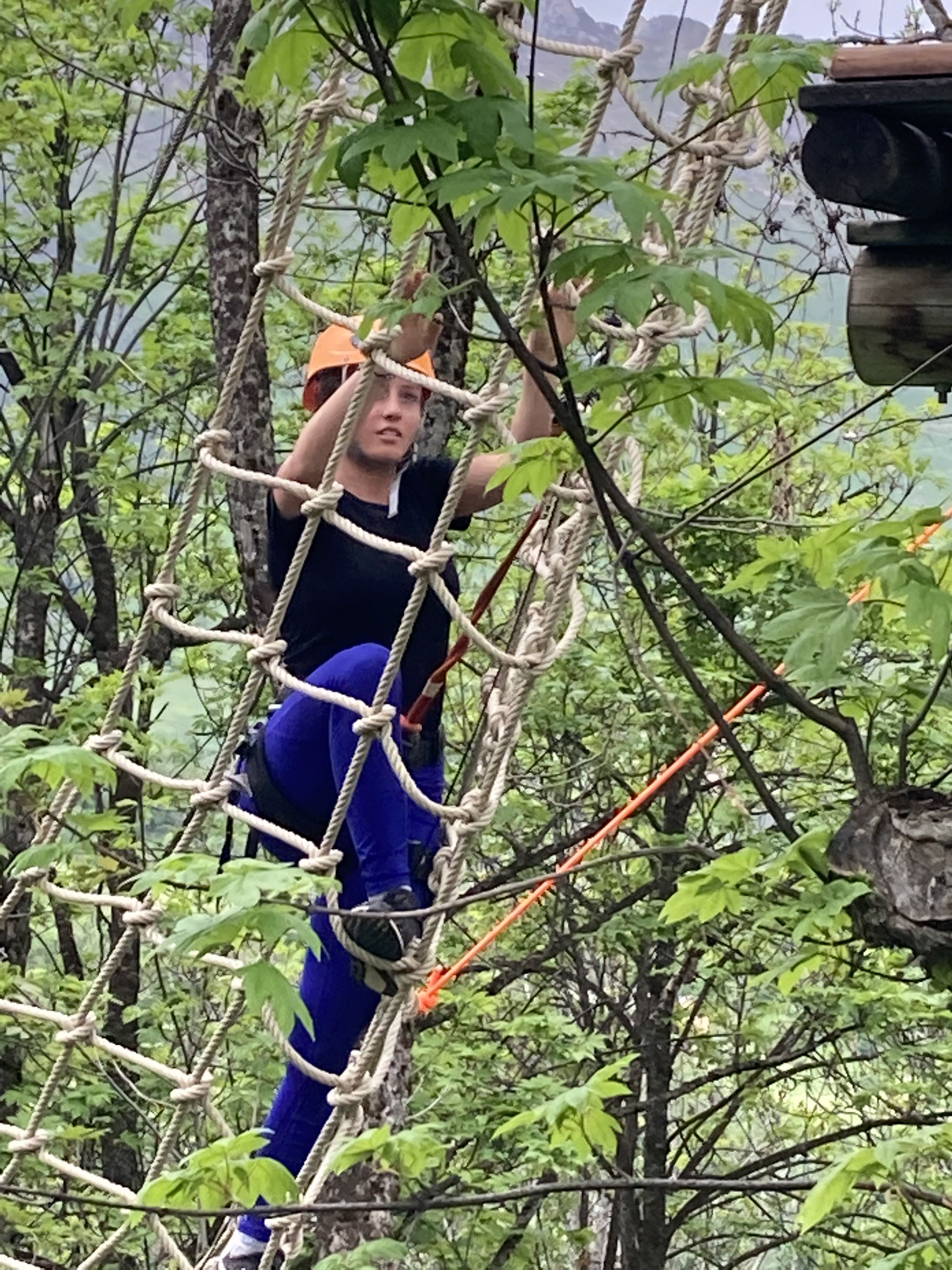 Photo du parc aventure